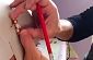 Finestre e porte casette Natale
