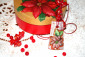 Chiudere collana decoupage