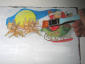 Incollare immagine decoupage su lamina rame