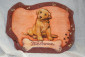Pannello con cane con scritta Welcome