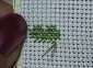 File punto croce forma cuore